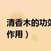 清香木的功效与作用及禁忌（清香木的功效与作用）