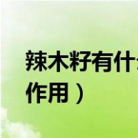 辣木籽有什么功效和作用（l辣木籽的功效与作用）