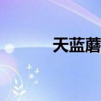 天蓝蘑菇长什么样（天蓝蘑菇）