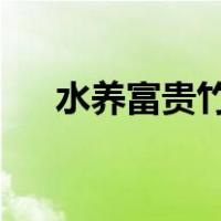 水养富贵竹的养殖方法和注意事项大全