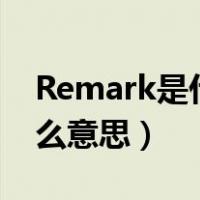 Remark是什么意思中文翻译（remark是什么意思）