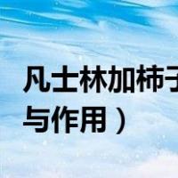 凡士林加柿子叶的功效与作用（柿子叶的功效与作用）
