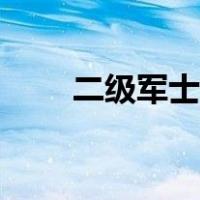 二级军士长军衔图片（二级军士长）