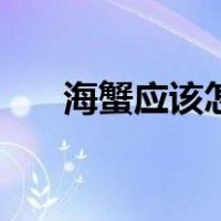 海蟹应该怎么保存（海蟹的保存方法）