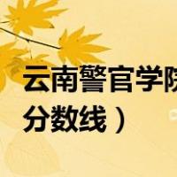 云南警官学院分数线招生计划（云南警官学院分数线）