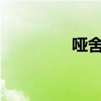 哑舍5百度云txt（哑舍5）