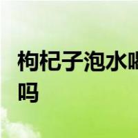 枸杞子泡水喝壮阳吗枸杞和野菊花能泡一起喝吗