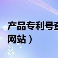 产品专利号查询网上查询（产品专利查询官方网站）