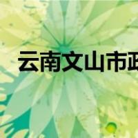 云南文山市政府网（云南文山政务网首页）