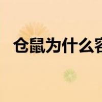 仓鼠为什么容易养死（仓鼠怎么养不会死）