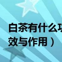 白茶有什么功效与作用及禁忌（白茶有什么功效与作用）