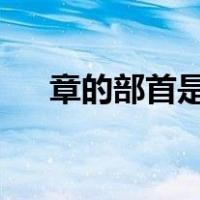 章的部首是什么?再查几画（章的部首）