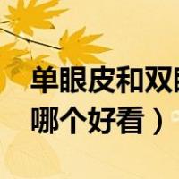 单眼皮和双眼皮哪个好看?（单眼皮和双眼皮哪个好看）