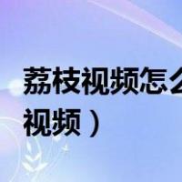 荔枝视频怎么播放不了（广东荔枝网不能播放视频）