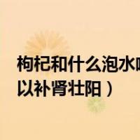 枸杞和什么泡水喝可以补肾壮阳男人（枸杞和什么泡水喝可以补肾壮阳）