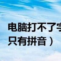 电脑打不了字只有拼音win11（电脑打不了字只有拼音）