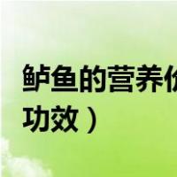 鲈鱼的营养价值及功效（多宝鱼的营养价值及功效）
