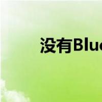 没有Bluetooth Support Service
