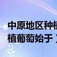 中原地区种植葡萄始于哪个汉代（中原地区种植葡萄始于）