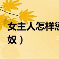 女主人怎样惩罚家奴小说（女主人怎样惩罚家奴）