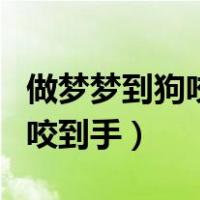 做梦梦到狗咬到手不放是什么意思（梦见被狗咬到手）