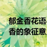 郁金香花语与寓意（郁金香花语是什么 郁金香的象征意义）