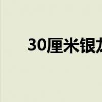 30厘米银龙鱼吃什么（银龙鱼吃什么）