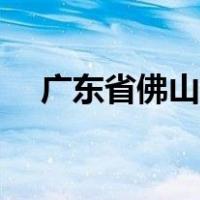 广东省佛山区邮编（广东省佛山市邮编）