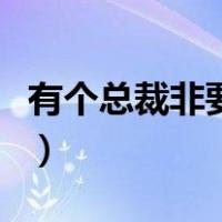 有个总裁非要娶我怎么办（有个总裁非要娶我）