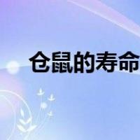 仓鼠的寿命一般多长（仓鼠的寿命多长）