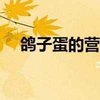 鸽子蛋的营养与价值（鸽蛋的营养价值）
