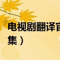 电视剧翻译官在线观看（情爱的翻译官电视全集）