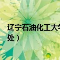 辽宁石油化工大学教务处密码忘了（辽宁石油化工大学教务处）