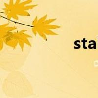 stable diffusion怎么用