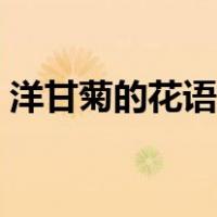 洋甘菊的花语和象征（洋甘菊的花语是什么）