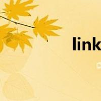 links是什么牌子（links）