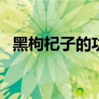 黑枸杞子的功效（黑苟纪子的功效与作用）