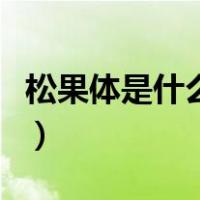 松果体是什么颜色（松果儿乳头是啥颜色的呢）