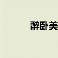 醉卧美人膝简介（罪卧美人膝）