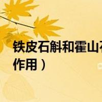 铁皮石斛和霍山石斛的功效与作用（霍山铁皮石斛的功效与作用）
