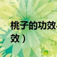 桃子的功效与作用 吃桃子的禁忌（桃子的功效）