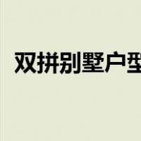 双拼别墅户型图 平面图（双拼别墅户型图）