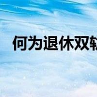 何为退休双轨制（退休双轨制是谁搞的朱）