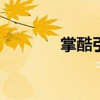 掌酷引擎有用吗（掌酷引擎）
