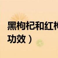 黑枸杞和红枸杞哪个补肾壮阳效果好（黑枸杞功效）