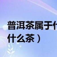 普洱茶属于什么茶红茶还是黑茶（普洱茶属于什么茶）