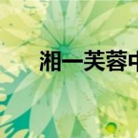 湘一芙蓉中学升学率（湘一芙蓉中学）