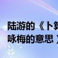 陆游的《卜算子咏梅》的意思（陆游的卜算子咏梅的意思）
