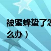 被蜜蜂蛰了怎么办用什么药膏（被蜜蜂蛰了怎么办）