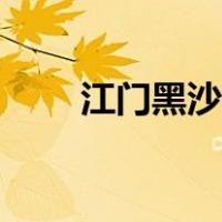 江门黑沙湾游玩攻略（江门黑沙湾）
